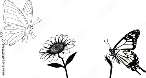 Two butterflies with flowers in contrasting minimal and realistic styles, cartoon insect illustration, nature anatomy concept, artistic comparison, white background