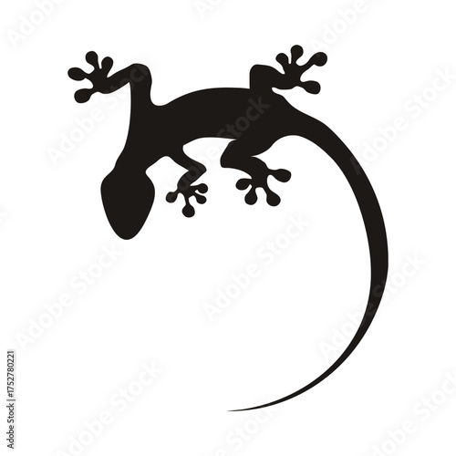 Black silhouette of gecko with curved tail and spread limbs—stylized reptile in climbing pose with distinct toe pads on white background