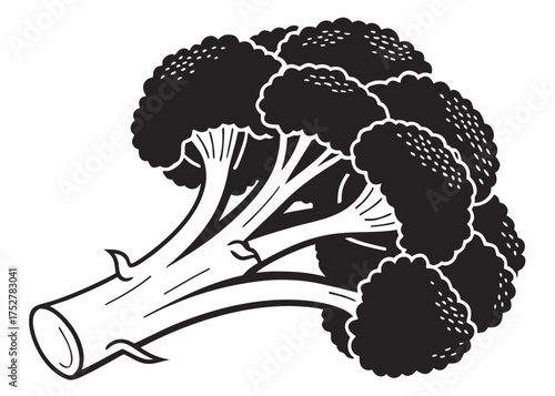Stylized black and white broccoli illustration