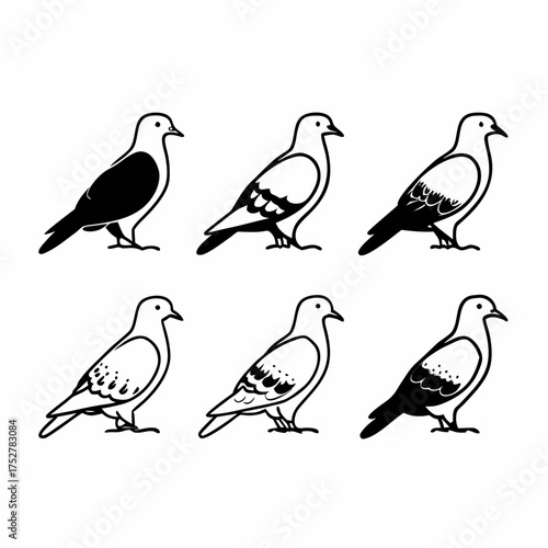 Illustration of six pigeons in different poses, vector illustration