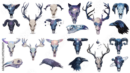 Watercolor galaxy skulls of deer, cow, and raven in mystical cosmic tones. Perfect for boho, witchcraft, or fantasy design projects, tattoo art, and modern surreal illustration collections.