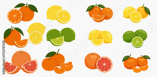 A collection of citrus fruit illustrations, including oranges, lemons, limes, grapefruit, and tangerines.