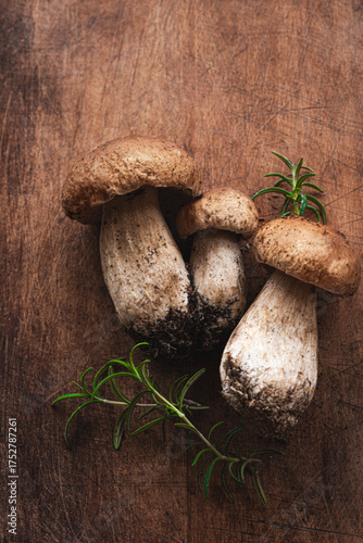 Wallpaper Mural Porcini mushrooms or Boletus edulis  on a dark brown wooden background. Forest organic food, white noble mushrooms Torontodigital.ca