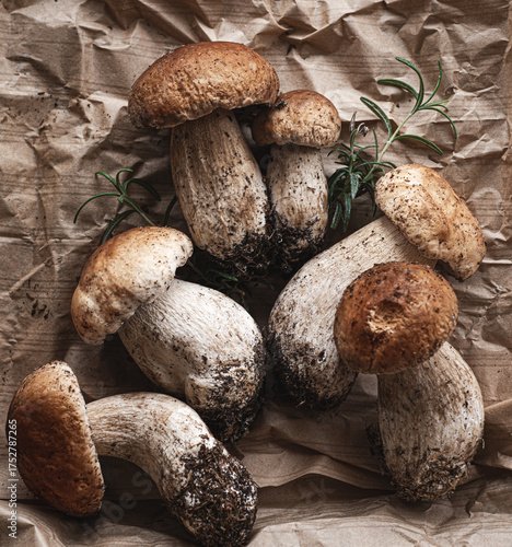 Wallpaper Mural Porcini mushrooms or Boletus edulis  on the natural paper background. Forest organic food, white noble mushrooms Torontodigital.ca
