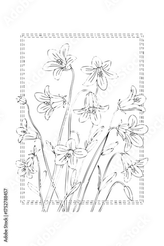 flowers, bells, coloring book