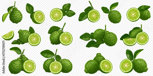 Collection of fresh bergamot fruits with leaves, whole and sliced, isolated on a transparent background.