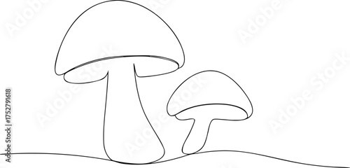Two mushrooms in simple line drawing style fungi nature
