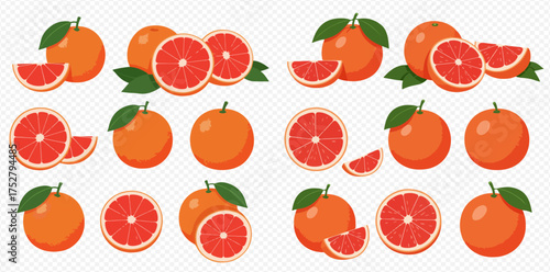 Illustration of whole and sliced grapefruits with leaves on a transparent background.