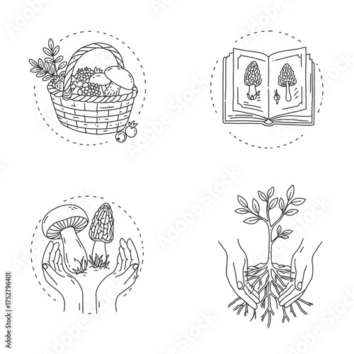 Illustrations depicting sustainable foraging, botanical study, and nurturing new plant life, showcasing a deep bond with the natural world.