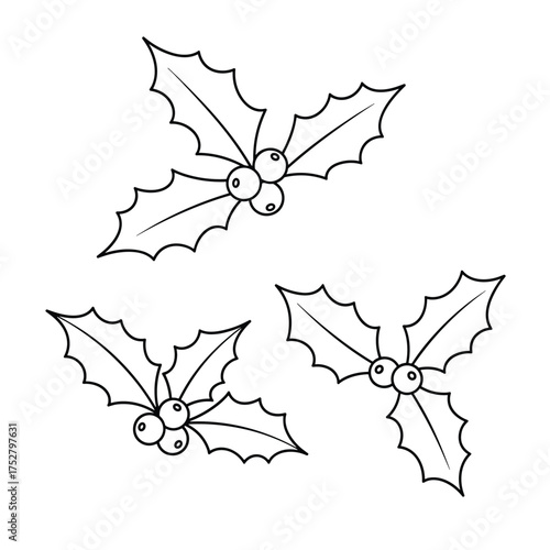 A delightful illustration of three clusters of holly leaves with berries perfect for holiday decorations and crafts.
