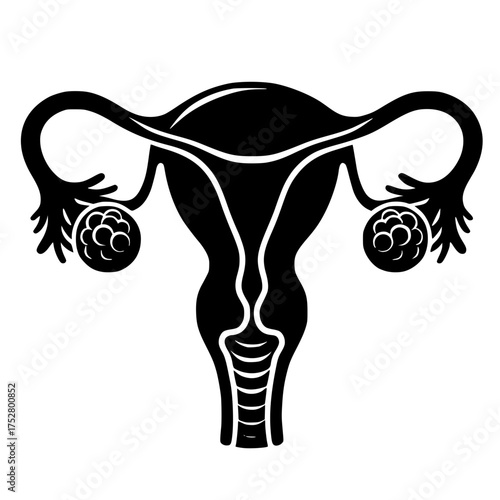 Black silhouette anatomical uterus. Healthy female body. Woman power. Uterus with tube and ovaries. Black vector icon with transparent background 