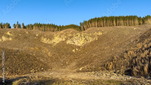 New Zealand clear-felled Radiata a.k.a. Monterey pine tree plantation. Forestry and lumber industry. Near Ātiamuri, central North Island. Clear felling is cost-effective but can lead to soil erosion.