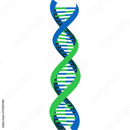 A detailed illustration of a double helix DNA strand with blue and green ribbons.