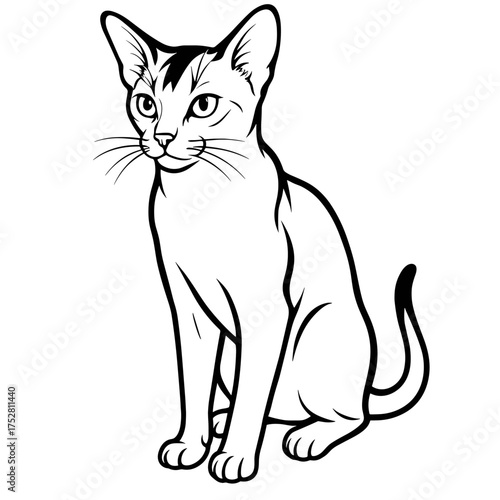 Abyssinian cat with inquisitive mood, sitting gracefully in minimalist style