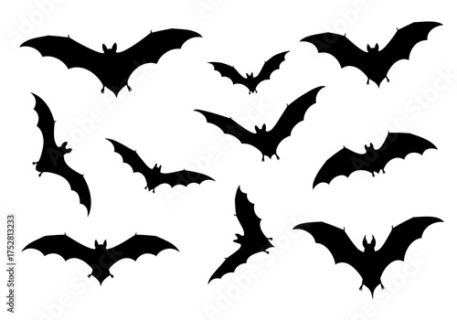 Bat silhouettes set isolated on white background vector illustration