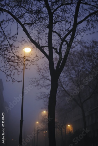 Wallpaper Mural Foggy city street at twilight, trees and lampposts Torontodigital.ca