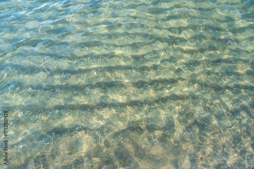 Fototapeta Naklejka Na Ścianę i Meble -  Organic sand patterns and natural textures on the Baltic Sea beach forming a serene coastal nature background scene