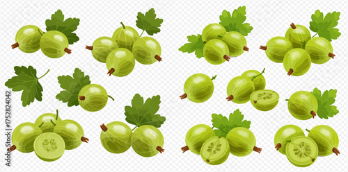 Illustration of gooseberries with leaves on a transparent background.