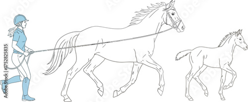 Woman in riding gear leads a horse and foal across a white background