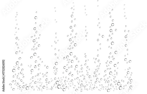 Realistic Transparent Water Bubbles Isolated on White Background
