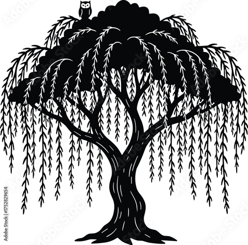 Willow tree silhouette with perched owl, drooping branches, flowing foliage, black nature art, graceful forest design, vector illustration, mystical wildlife scene for stock