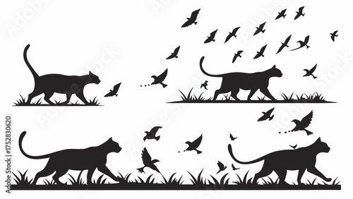 Black Cat Silhouettes Stalking Flying Birds in Wild Grass Dynamic Nature Wildlife Predator Prey Instinct Scene