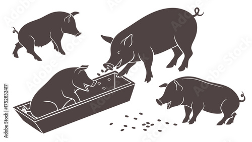 Farm Pigs Eating and Foraging Vector Silhouette Illustration for Agricultural Industry, Livestock Farming, Rural Life, and Animal Care