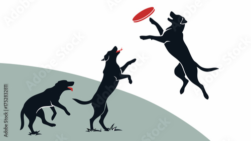 Energetic Black Dogs Jumping Catching Frisbee Outdoor Park Playful Pet Activity Agility Training