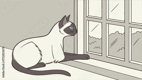 Blue Eyed Siamese Cat Illustration Watching Outside from Window Sill for Pet Care, Home Lifestyle, and Relaxation