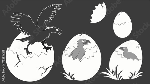 Bird Hatching from Egg Stages Illustration for Business Growth Development and New Venture Launch