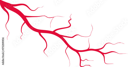 Abstract Red Vein or Artery Network on White Background