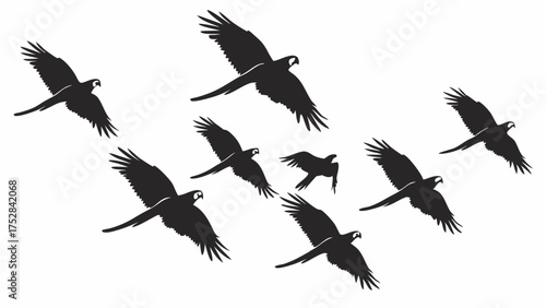 Flock Of Flying Birds Soaring In Formation Against Bright Sky For Business Teamwork Leadership Travel Nature And Freedom