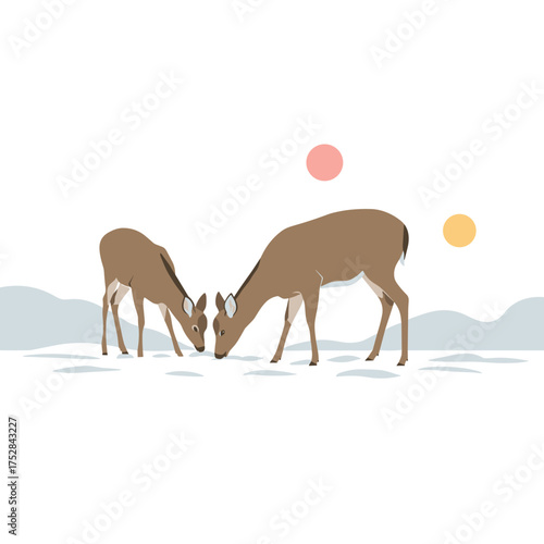 Two deer feeding on snow-covered ground in winter landscape  