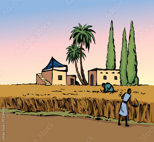 Vector drawing. Reapers in the field