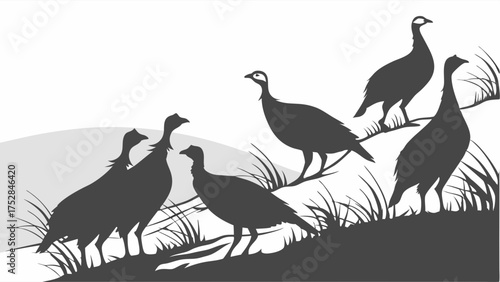 Wild Turkeys Silhouettes Roaming Grassy Hill. Nature Wildlife for Conservation, Hunting Season, Thanksgiving, Outdoor Recreation.