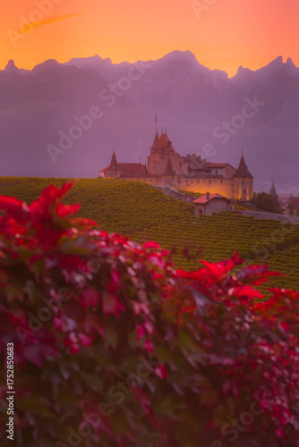 Chateau d'Aigle in canton Vaud, Switzerland