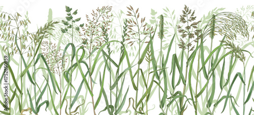 Wild grasses sketched seamless border