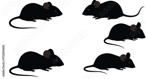 Seamless pattern of elegant black cat silhouettes in various dynamic poses, including jumping, sitting, and walking, artistically arranged on a crisp white background, ideal for pet-themed textiles, p