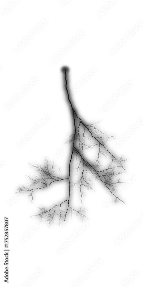 Fototapeta premium Black lightning bolt isolated on transparent background for design element use