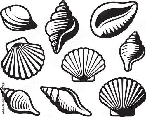 Seashells Beach Ocean Nature Creature Tourist Mollusk Aquatic Decoration Tropical Exotic Summer Vacation Coast Marine Element Vector Art