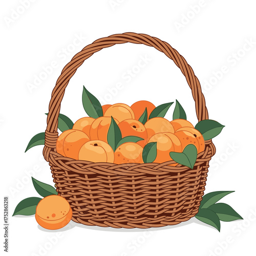 A woven basket overflows with ripe juicy apricots and fresh green leaves.