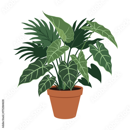 A collection of lush green houseplants in a terracotta pot, adding a touch of natural beauty to any space.