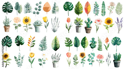 Watercolor tropical plants and flowers including monstera, cactus, and sunflower. Elegant botanical set for design projects, invitations, and home decor prints.