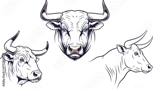Powerful bull portraits showcasing strength and determination in diverse angles
