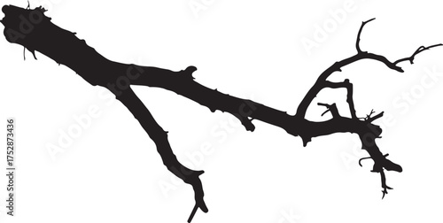 Silhouette Of Fallen Tree Branch With Detailed Twigs On Transparent Background For Natural Art And Decoration Projects At Landscape