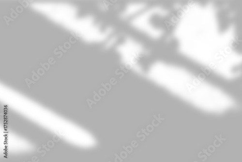 Window shadows cast on a white surface with a soft light effect.