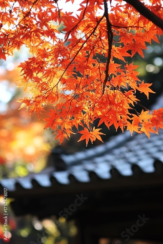Vibrant autumn leaves against a blurred traditional Asian roof