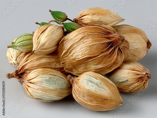Dried gentian root used in ...