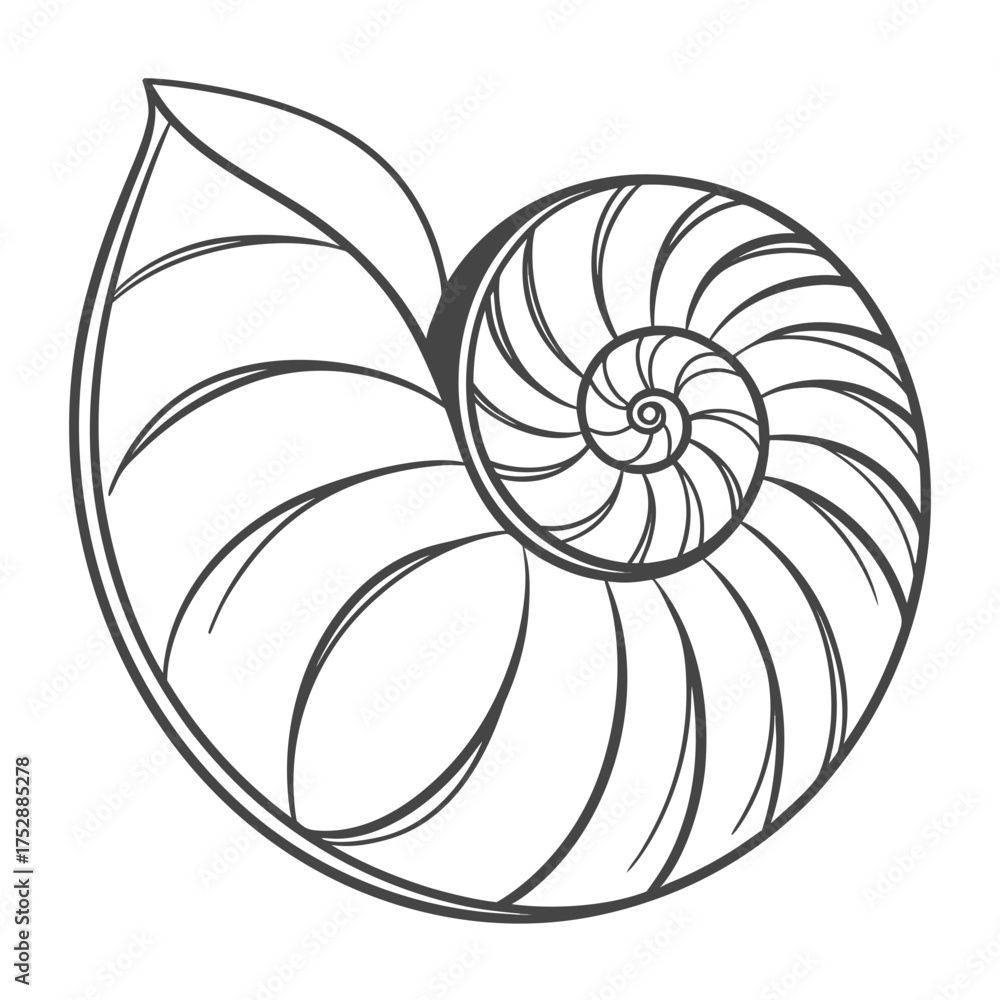 Obraz premium Spiral on white background