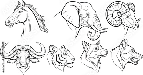 Majestic animal portraits showcasing the diverse beauty of wildlife in a clean line art style.